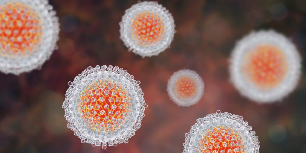 hepatitis C virus model