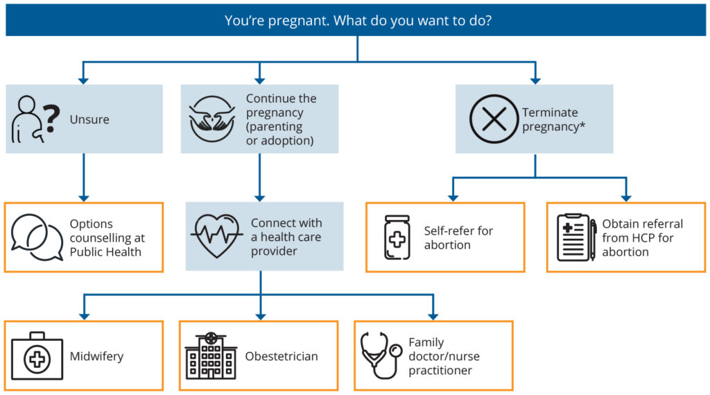 Flow chart demonstrating options for pregnant individuals. Options are laid out in headers below.